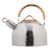 Stainless Steel Tea Kettles 2.6 Quart Stain-resistant Stainless Steel Water Kettle Teapots For Electric Stovetops With Anti-slip